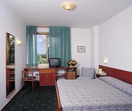 Park Hotel Galileo Reggello Rum bild